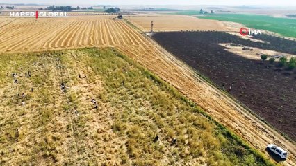 Satamadığı soğanı hayrına dağıttı, yüzlerce kişi tarlaya akın etti