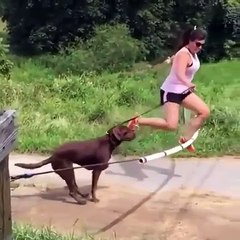 घर पर जिम वर्कआउट | 20 मिनट में फिट रहने के लिए सर्वश्रेष्ठ एक्सरसाइज़ | Home Gym Workout | Hindi & English Fitness Video