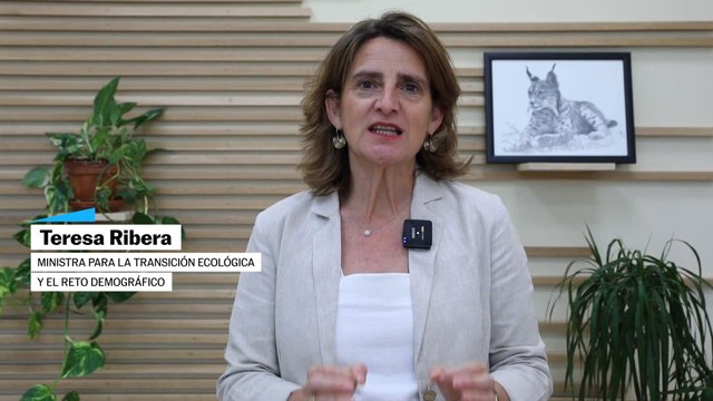 Ribera: Tenemos una buena noticia: el lince ibérico sale de la lista roja de especies en peligro de extinción, es un programa de éxito