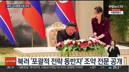 북러 조약 공개…"침공받아 전쟁 나면 군사원조"