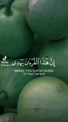 https://www.tiktok.com/@saghar.irfan?_t=8nMADDdpTPc&_r=1