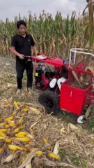Chinese corn cutting machines