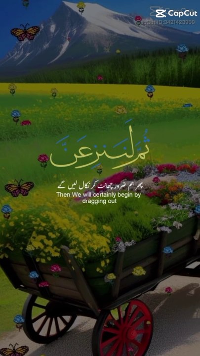 Tilawat e Quran