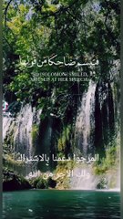 #القران#الكريم#راحة#نفسية#للقلوب