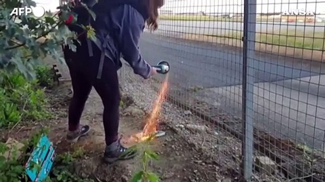 Gb, blitz degli ecoattivisti a Stansted dopo l'arrivo di Taylor Swift
