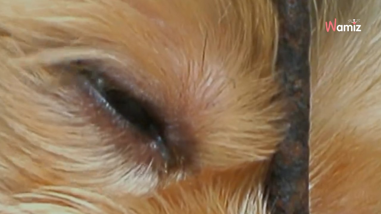 Être face à un cas de maltraitance peut provoquer un moment de panique !