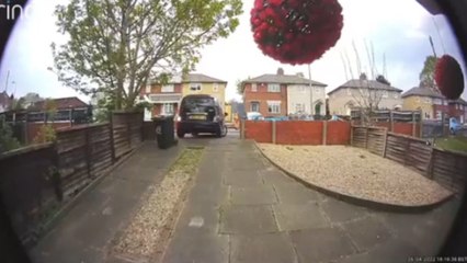 Driving mishap leaves the trash bin gliding down the driveway