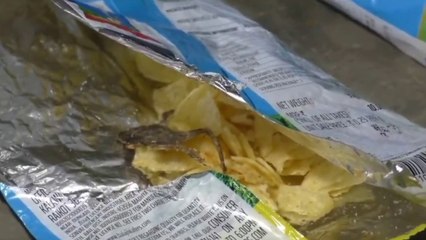Family discover dead frog in a packet of crisps