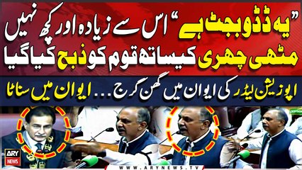 "Daddu Budget" | Opposition Leader Omar Ayub's Fiery Speech in National Assembly