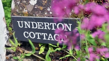 Visit Pams Pools , an oasis for nature, just outside Bridgnorth.