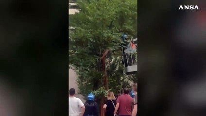 Bologna, scontri fra polizia e attivisti al parco don Bosco
