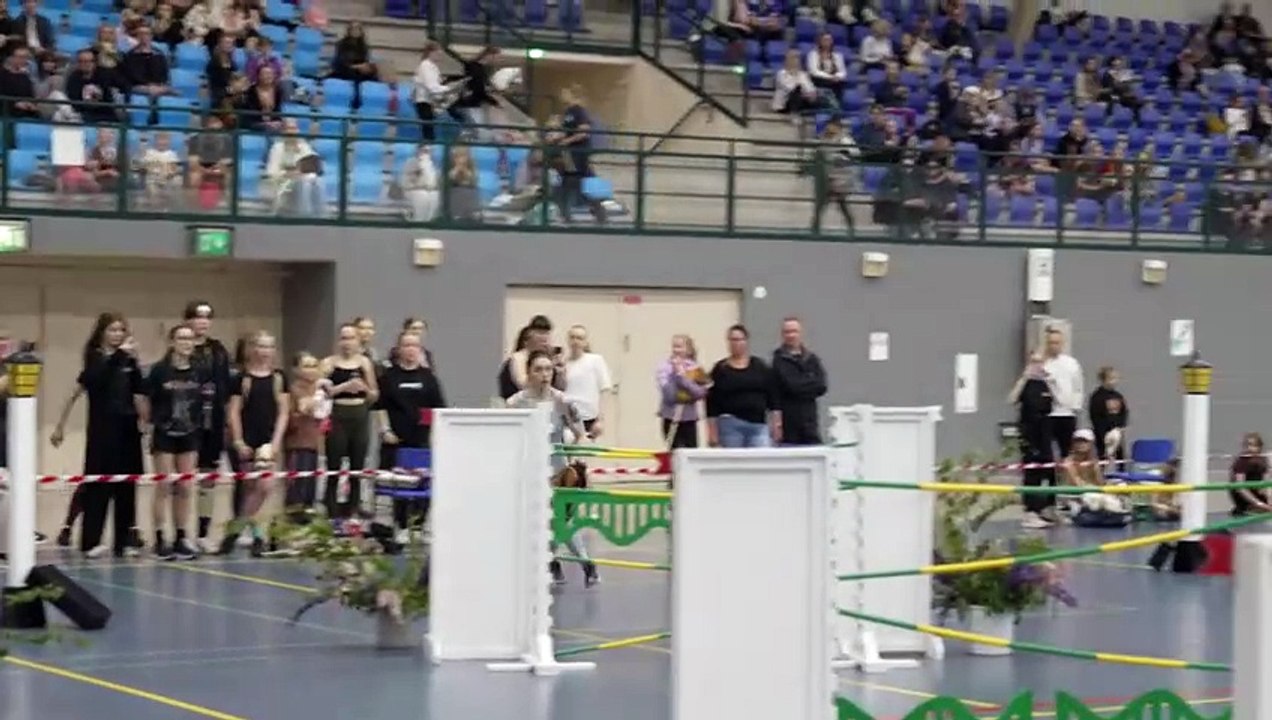 'Hobby Horsing': Steckenpferdreiten gewinnt an Beliebtheit