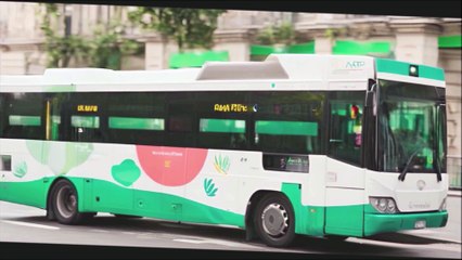 dénouer le vrai du faux La RATP va-t-elle vraiment licencier une trentaine de chauffeurs de bus
