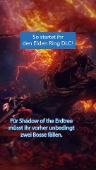 Elden Ring: Wir zeigen euch in 30 Sekunden, wie ihr den DLC Shadow of the Erdtree startet