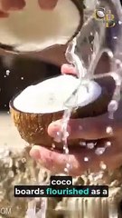 Instagram Reel edit for a brand named Coco Board