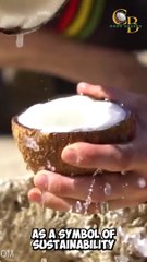 Instagram Reel for a brand named Coco Board