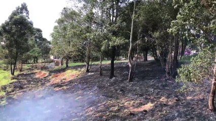 Bombeiros combatem incêndio em vegetação na Rua Londres