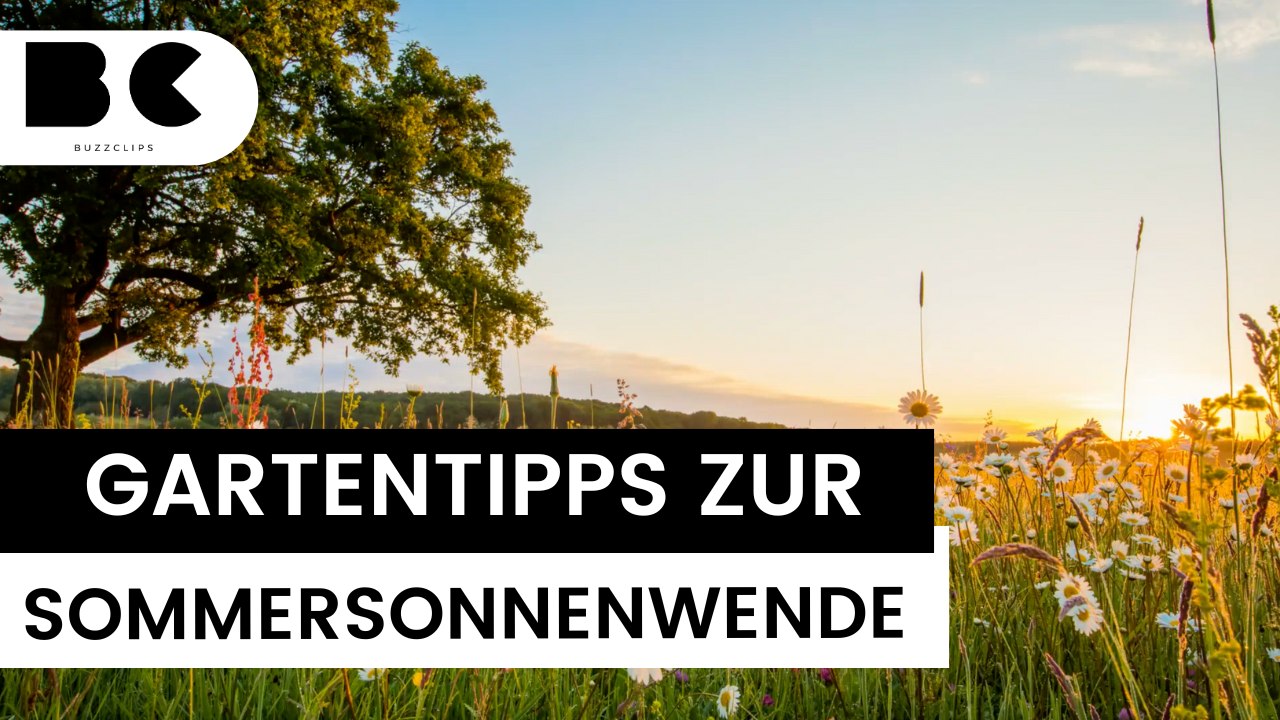 Sommersonnenwende: Das ist im Garten jetzt zu tun