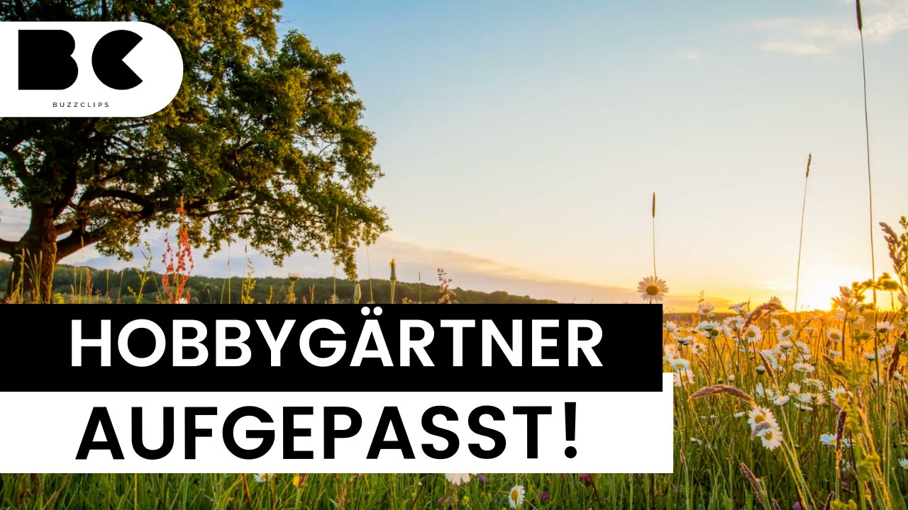 Tipps für die Gartenpflege zur Sommersonnenwende