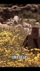 Oração para a Prosperidade