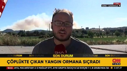 Dün kontrol altına alınan alan: Çanakkale'de bir orman yangını daha!