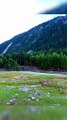 Hidden Beauty of Kumrat Valley in Pakistan (2024) #beauty #beautiful #kumrat #kumratvalley #kpk