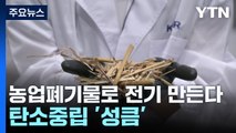 농업 쓰레기로 전기 만든다...탄소중립 '성큼' / YTN