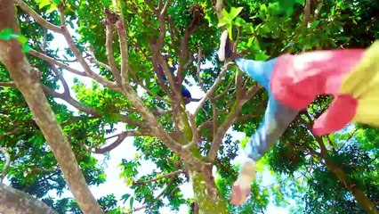 Shaktiman And Monkey Special Trending Funny Comedy Video 2024Amazing Comedy Video 2024 Episode 272(720P_HD)