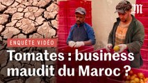 Quand le Maroc exporte des tomates, il exporte l’eau qu’il n’a plus