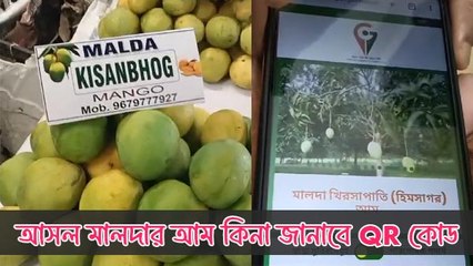 নকল হইতে সাবধান! আম আসল কিনা জানাবে কিউআর কোড, কীভাবে জানেন?