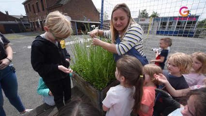 Générations solidaires : La framboise masquée
