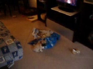 JAGGER qui regarde la télé