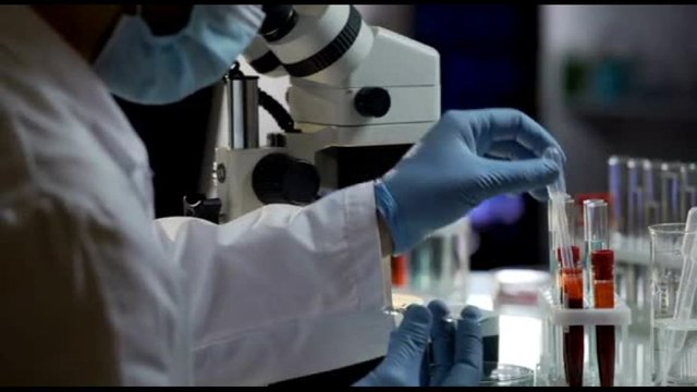 Leucemie, AIL: 55 anni di impegno per la ricerca e l'assistenza