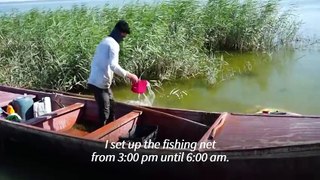 Fishermen face dwindling yield as drought hits Iraq's Razzaza lake