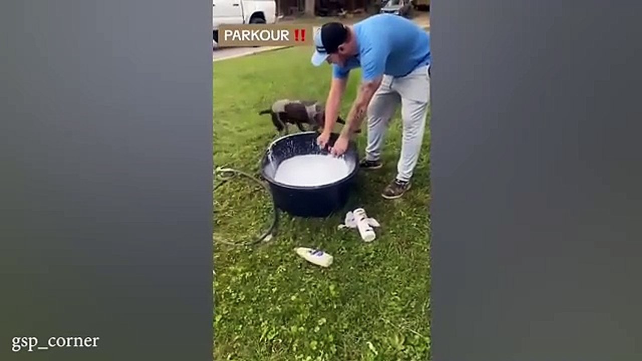 THIS_will_make_you_LAUGH_ALL_DAY___Best_Funniest_Animal_Videos_Of_The_week(360p)