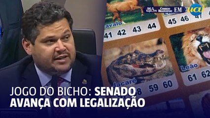 Senado aprova projeto que legaliza cassinos, jogo do bicho e bingo