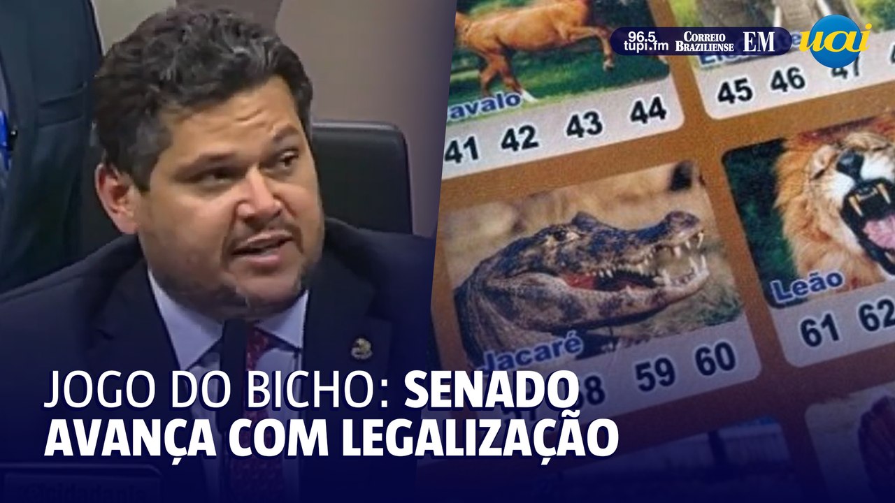 Senado aprova projeto que legaliza cassinos, jogo do bicho e bingo