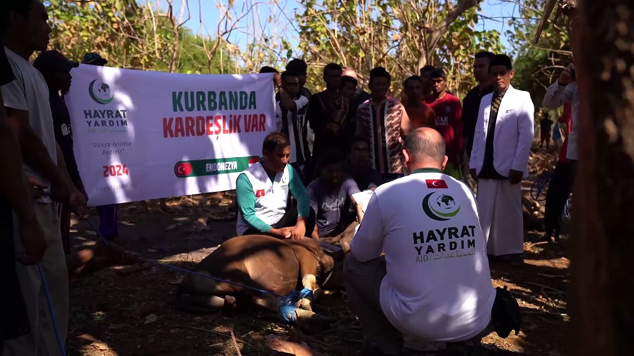 Hayrat İnsani Yardım Derneği  31 ülkede kurban faaliyeti gerçekleştirdi