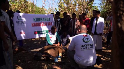 Hayrat İnsani Yardım Derneği  31 ülkede kurban faaliyeti gerçekleştirdi