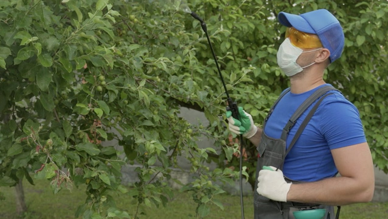 These 5 Cities Have the Biggest Mosquito Problem—Here's How to Proof Your Home