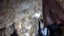 VID_20240621_010213