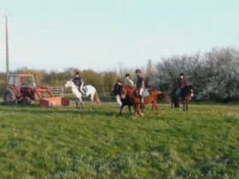 Cours de pony-games génial!!