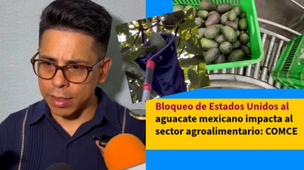 Bloqueo de Estados Unidos al aguacate mexicano impacta al sector agroalimentario: COMCE