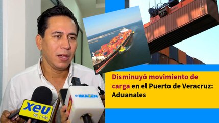 Disminuyó movimiento de carga en el Puerto de Veracruz: Aduanales