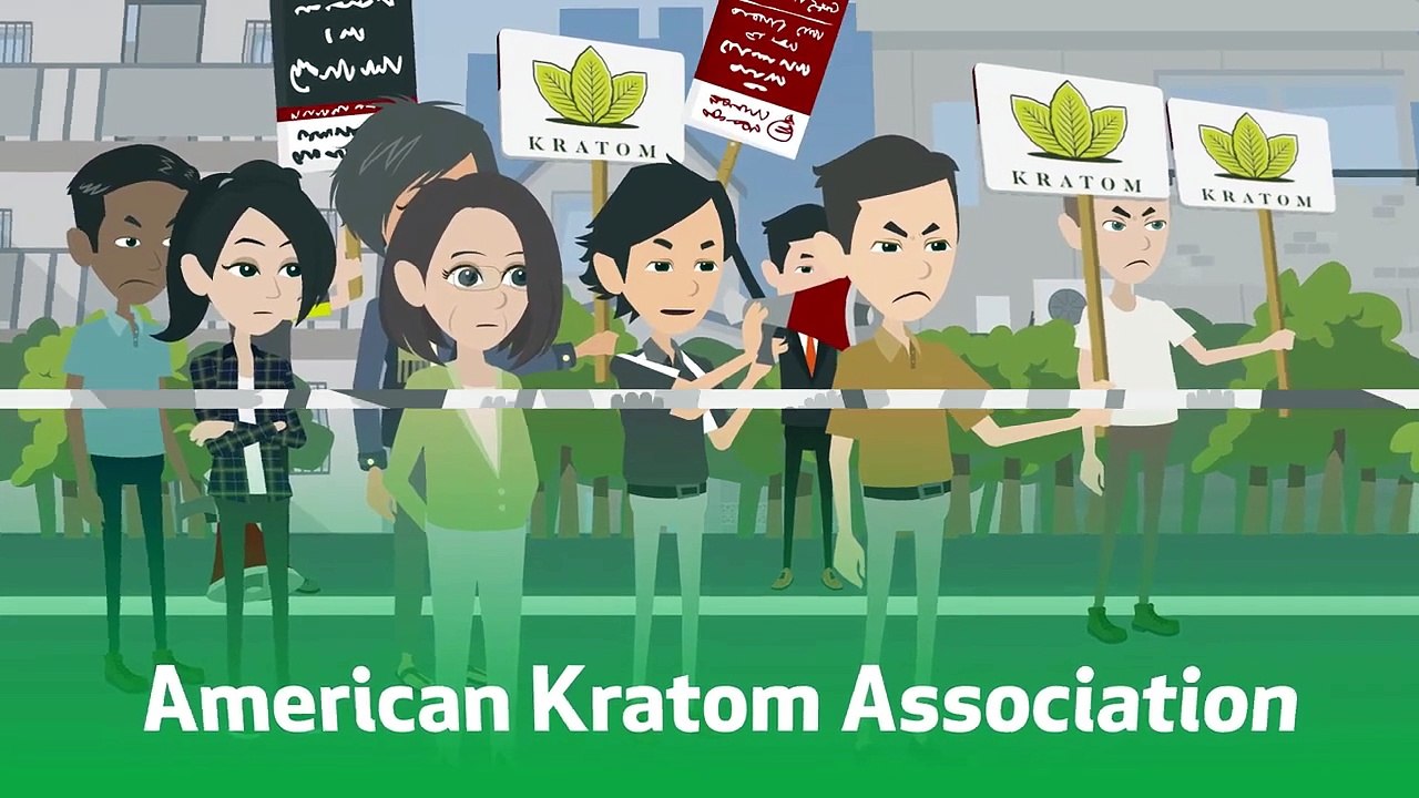The Remarkable Journey of Kratom_ From Origins to Advocacy