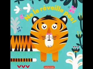 Ne le réveille pas! - Livre audio magique - Histoire du soir pour enfants pour s'endormir