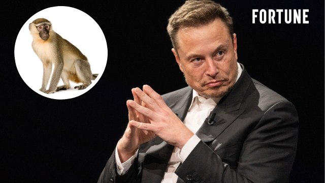Elon Musk’s Neuralink Allegedly Forced a Pregnant Employee to Work With Herpes-Infected Monkeys