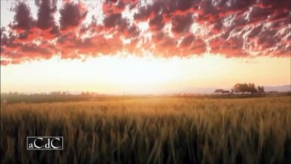 Storia del mondo 1 - Sopravvivenza