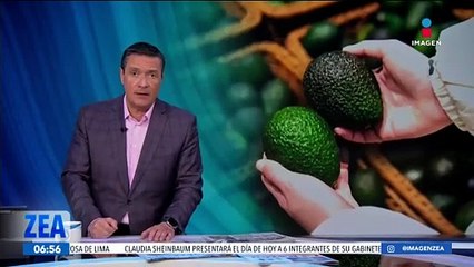 ¿Quién podrá salvar al aguacate michoacano?