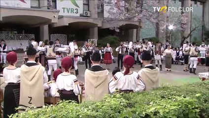 Paula Florescu - La casa de oameni buni (Cantec de sarbatoare - TVR Folclor - 13.06.2024)